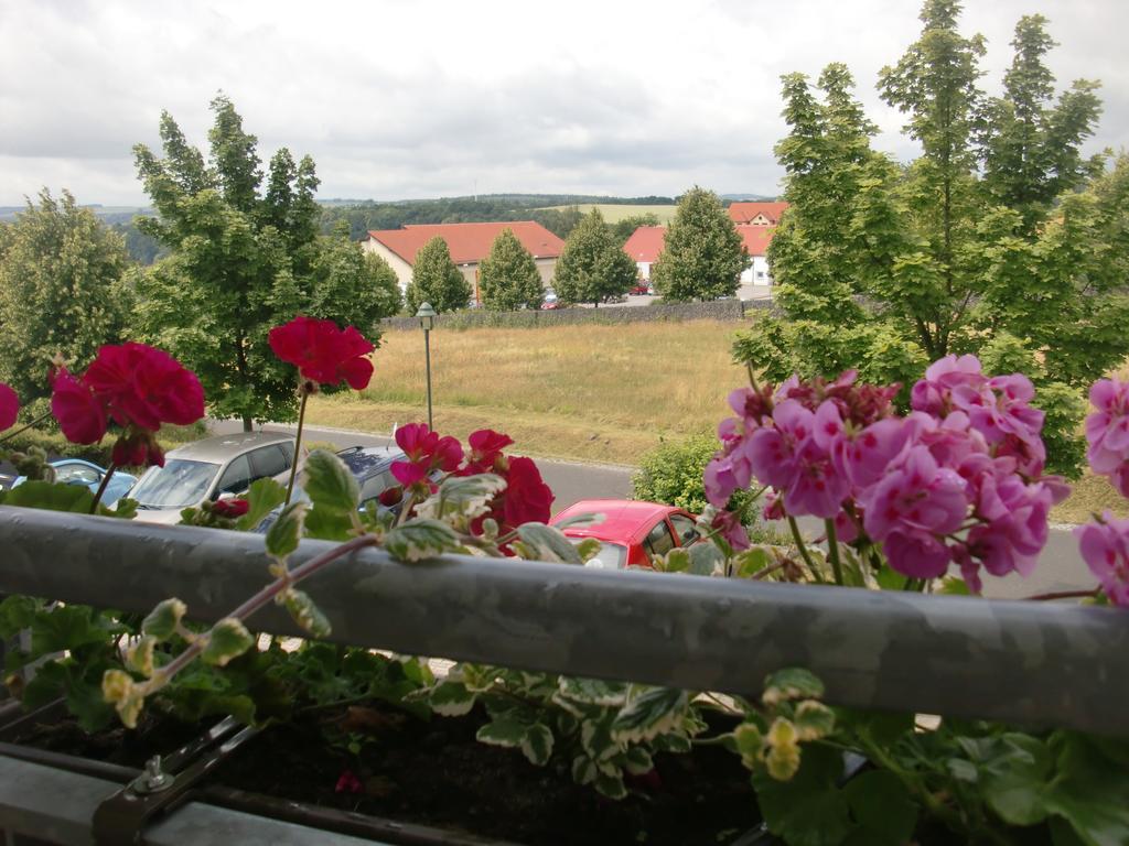 Hotel Am Heidepark Dippoldiswalde Δωμάτιο φωτογραφία